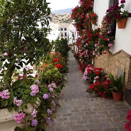 Casa De Las Flores - A Picture Perfect Location! El Gastor Kültér fotó