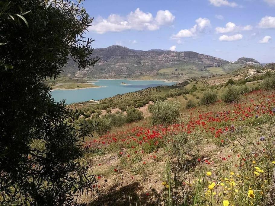 Casa De Las Flores - A Picture Perfect Location! El Gastor Kültér fotó