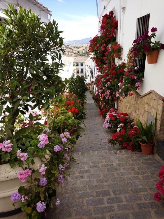 Casa De Las Flores - A Picture Perfect Location! El Gastor Kültér fotó