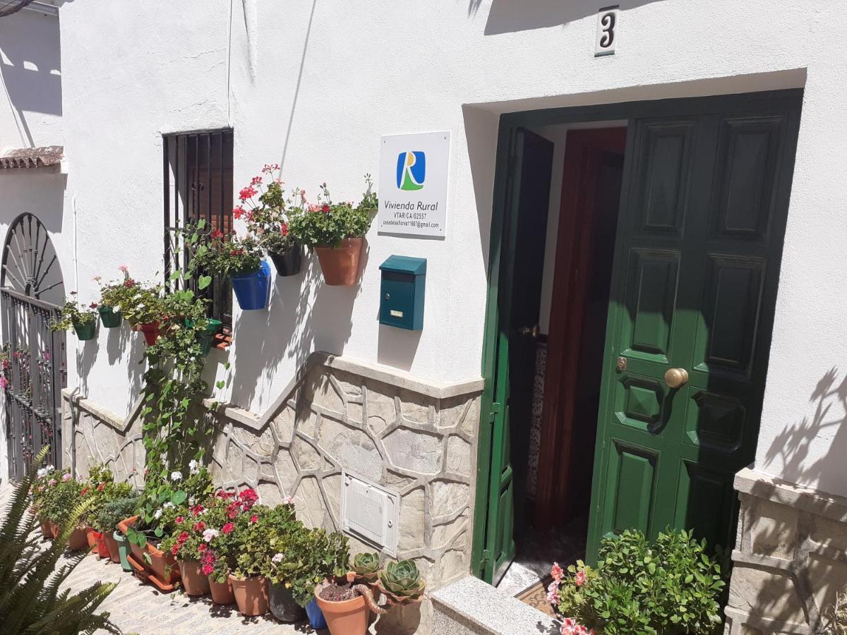 Casa De Las Flores - A Picture Perfect Location! El Gastor Kültér fotó