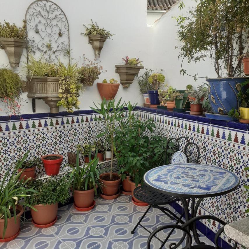 Casa De Las Flores - A Picture Perfect Location! El Gastor Kültér fotó
