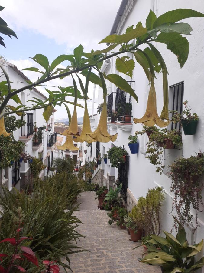 Casa De Las Flores - A Picture Perfect Location! El Gastor Kültér fotó