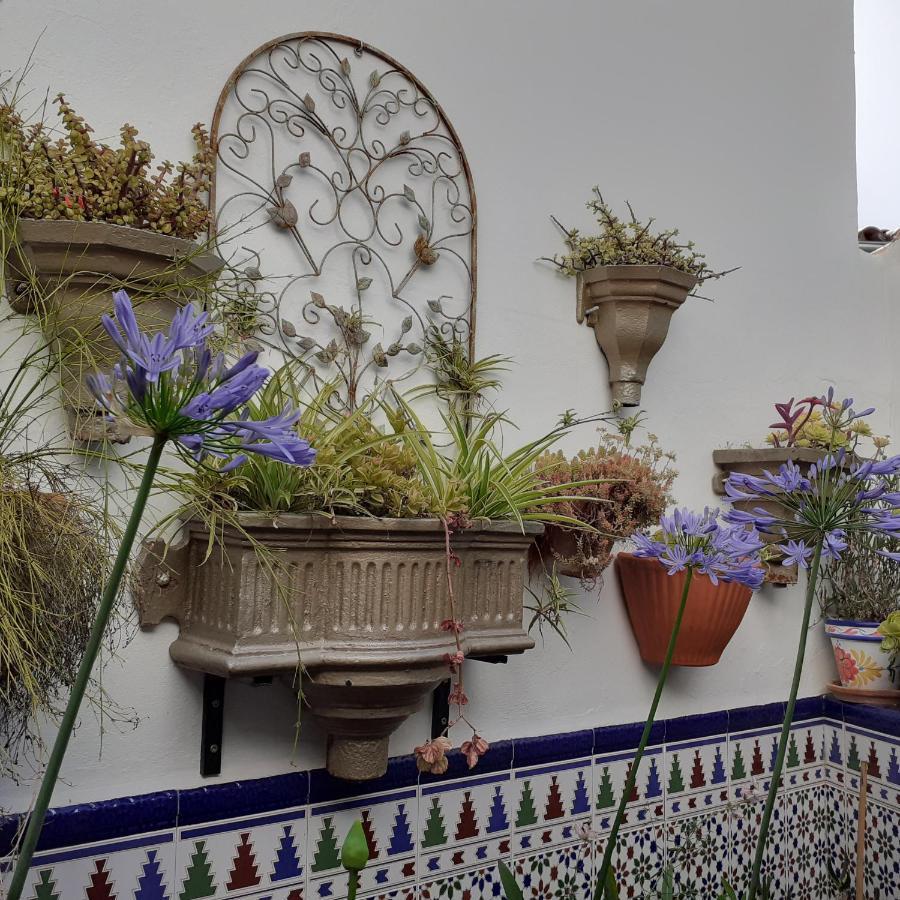 Casa De Las Flores - A Picture Perfect Location! El Gastor Kültér fotó