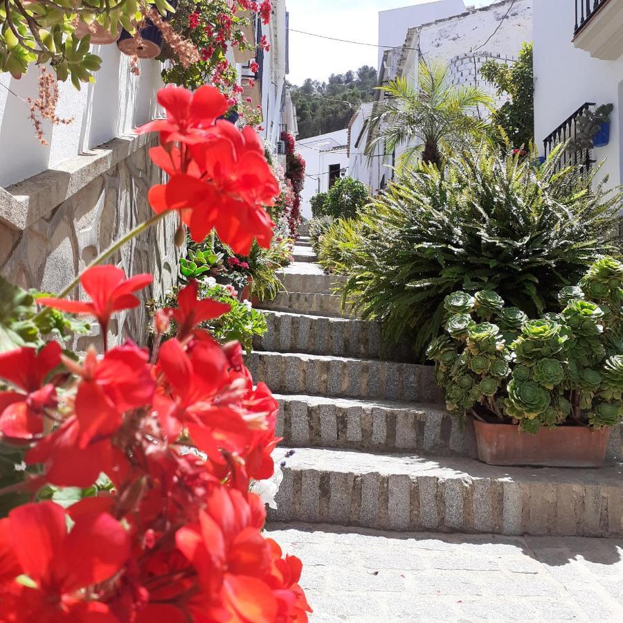 Casa De Las Flores - A Picture Perfect Location! El Gastor Kültér fotó
